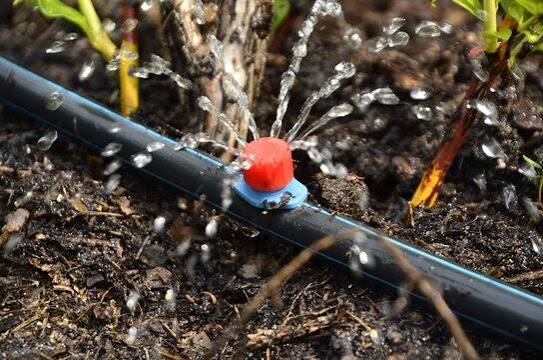 Drip irrigation system rental in Irrigation equipment category